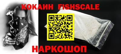 индика Партизанск