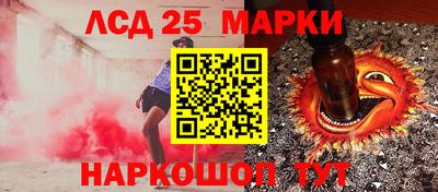 индика Партизанск