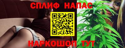 индика Партизанск
