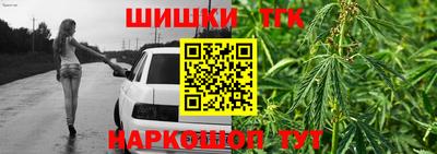 индика Партизанск