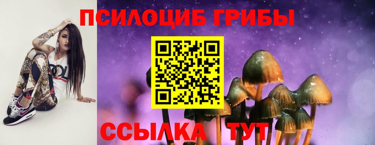 Псилоцибиновые грибы мицелий  Псилоцибиновые грибы прущие грибы  купить наркоту  Ростов-на-Дону  Вход с VPN 